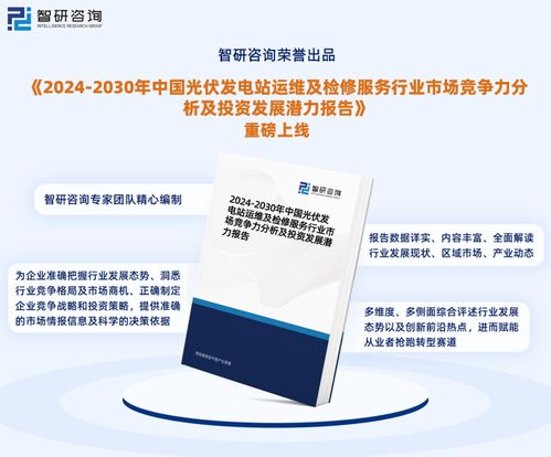 2024版中国光伏发电站运维及检修服务行业市场发展前景分析报告